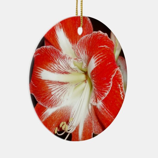 信仰の花2コリントAmaryllisオーナメント セラミックオーナメント (右)