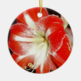 信仰の花2コリントAmaryllisオーナメント セラミックオーナメント
