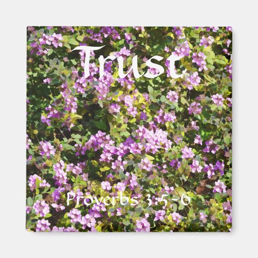 信仰の花Proverbsセージ磁石 マグネット (正面)