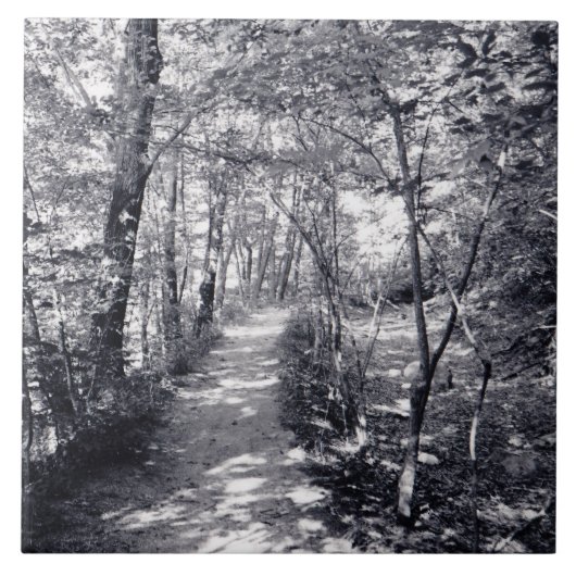 信仰の道 タイル (正面)