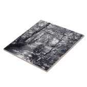 信仰の道 タイル (側面)