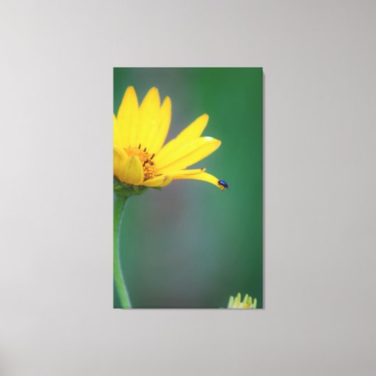 信仰の飛躍 キャンバスプリント (正面)