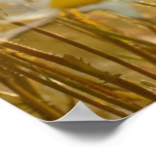 信仰感動的引用文ポスター – 写真 ポスター (角)