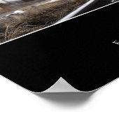 信仰:感動的引用文 ポスター (角)