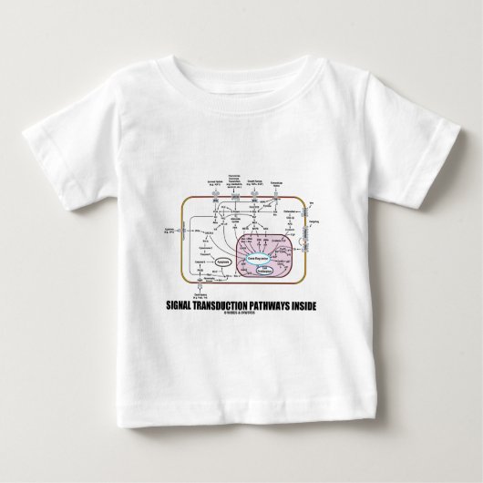 信号のTransductionの細道の内部(細胞生物学) ベビーTシャツ (正面)