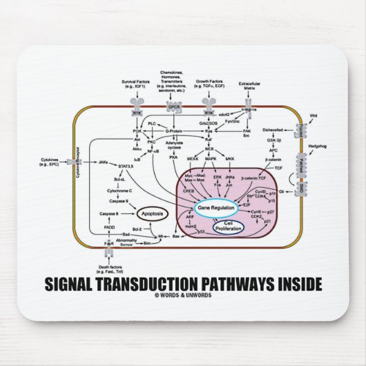 信号のTransductionの細道の内部(細胞生物学) マウスパッド (正面)