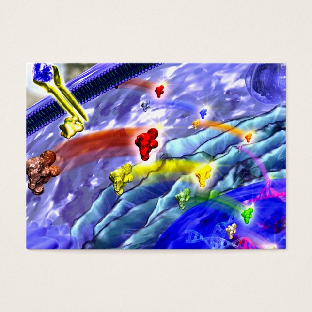 信号用地表面カード (正面)