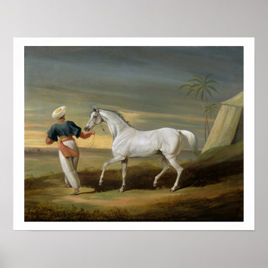 信号、灰色のアラブ人、砂漠に新郎と(o) ポスター (正面)