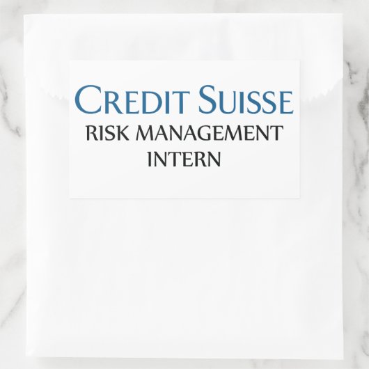 信用リスク管理インターン 長方形シール (バッグ)