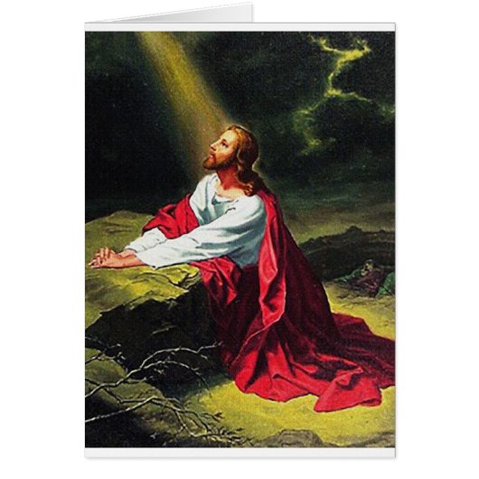 信賛美仰の感動的希望 (正面)