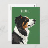 信頼できるオーストラリアの羊飼い ポストカード (正面/裏面)