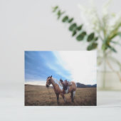 信頼できるステッド ポストカード (スタンド正面)