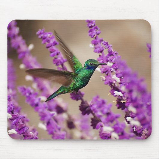 信頼のきらめくなすみれ色耳のハチドリの翼 マウスパッド (正面)