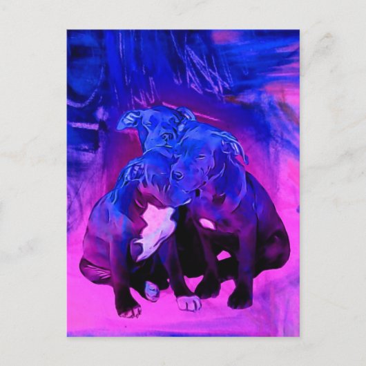 信頼の希望及び慈善のピット・ブル乱用された犬 ポストカード (正面)