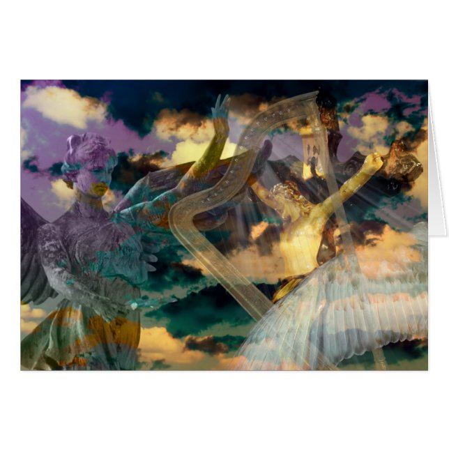 信頼の視野 (正面横)