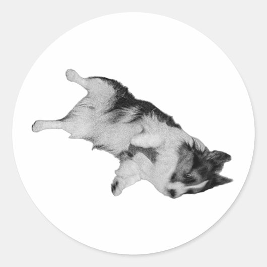 信頼秋 ラウンドシール (正面)