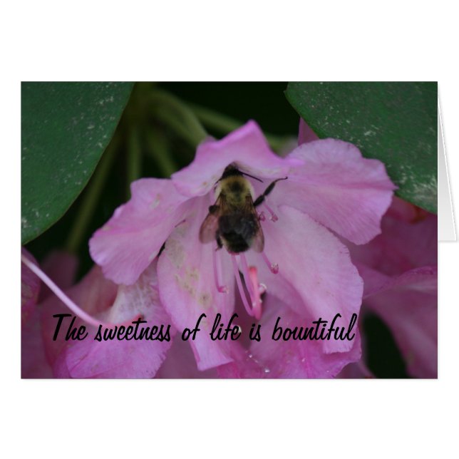 修復カード (正面横)