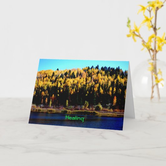 修復 カード (黄色い花)