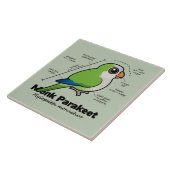 修道士のインコの統計量 タイル (側面)