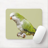 修道士のインコ マウスパッド (マウス)