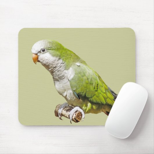 修道士のインコ マウスパッド (マウス)