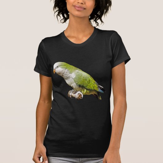 修道士のインコ Tシャツ (正面)