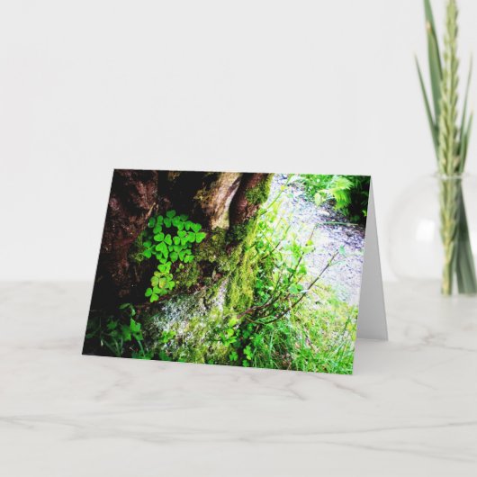 修道士のシャムロック カード (正面)