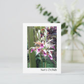 修道女の蘭 ポストカード (スタンド正面)