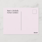 修道女の蘭 ポストカード (裏面)