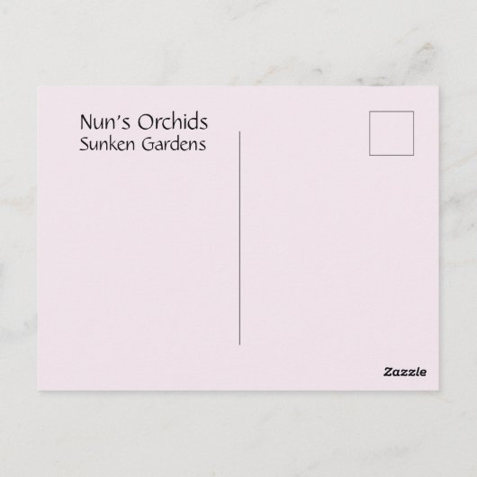 修道女の蘭 ポストカード (裏面)