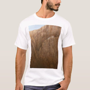 修道院Paro Tシャツ
