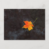 俳句はがき ポストカード (正面)