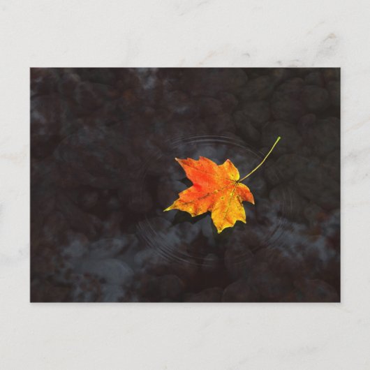 俳句はがき ポストカード (正面)