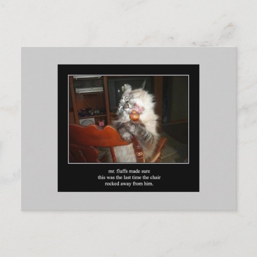 俳句キャット15葉書 ポストカード (正面)