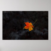 俳句 ポスター (正面)