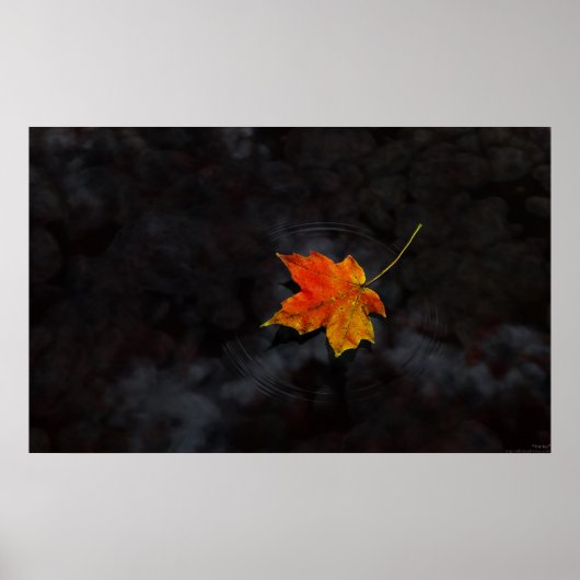 俳句 ポスター (正面)