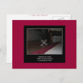 俳句cat 1はがき ポストカード (正面/裏面)