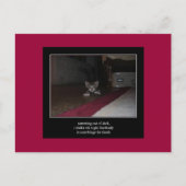 俳句cat 1はがき ポストカード (正面)