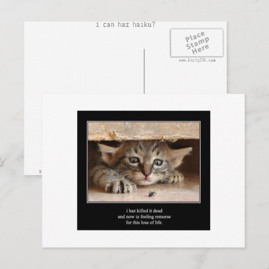 俳句cat 12葉書 ポストカード (正面/裏面)