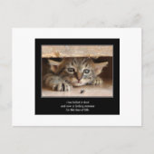 俳句cat 12葉書 ポストカード (正面)