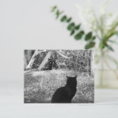 俺か？ ポストカード (スタンド正面)