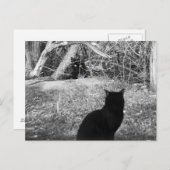 俺か？ ポストカード (正面/裏面)