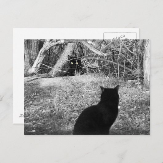 俺か? ポストカード (正面/裏面)