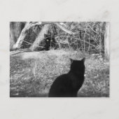 俺か? ポストカード (正面)