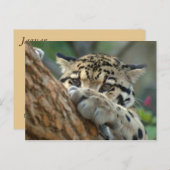 俺が手に入れたか? ポストカード (正面/裏面)