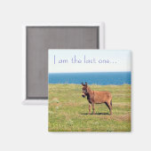 俺が最後の…マグネット マグネット (正面/裏面)