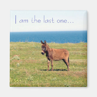 俺が最後の…マグネット マグネット