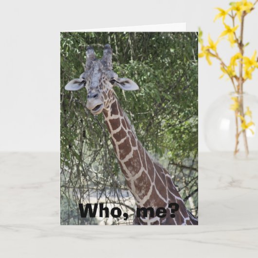 俺が？ カード (黄色い花)