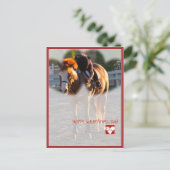 俺のものだ！ ポストカード (スタンド正面)