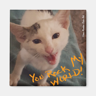 俺の世界をロックしろ！子猫マグネット マグネット